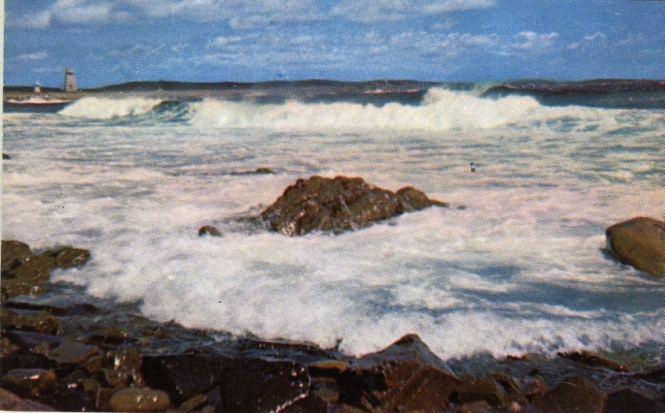 Louisbourg Harbour Postcard